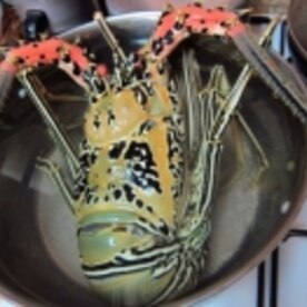 伊勢海老ゴロゴロ こんがりバジルマヨネーズ焼き レシピ 作り方 By ペコ4672 楽天レシピ 伊勢海老ゴロゴロ こんがりバジルマヨネーズ焼き レシピ 作り方 By ペコ4672 楽天レシピ
